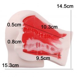 EXE - S級軟肉桃尻 (S級もももっち)