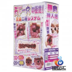 Ride Japan - 天下一穴